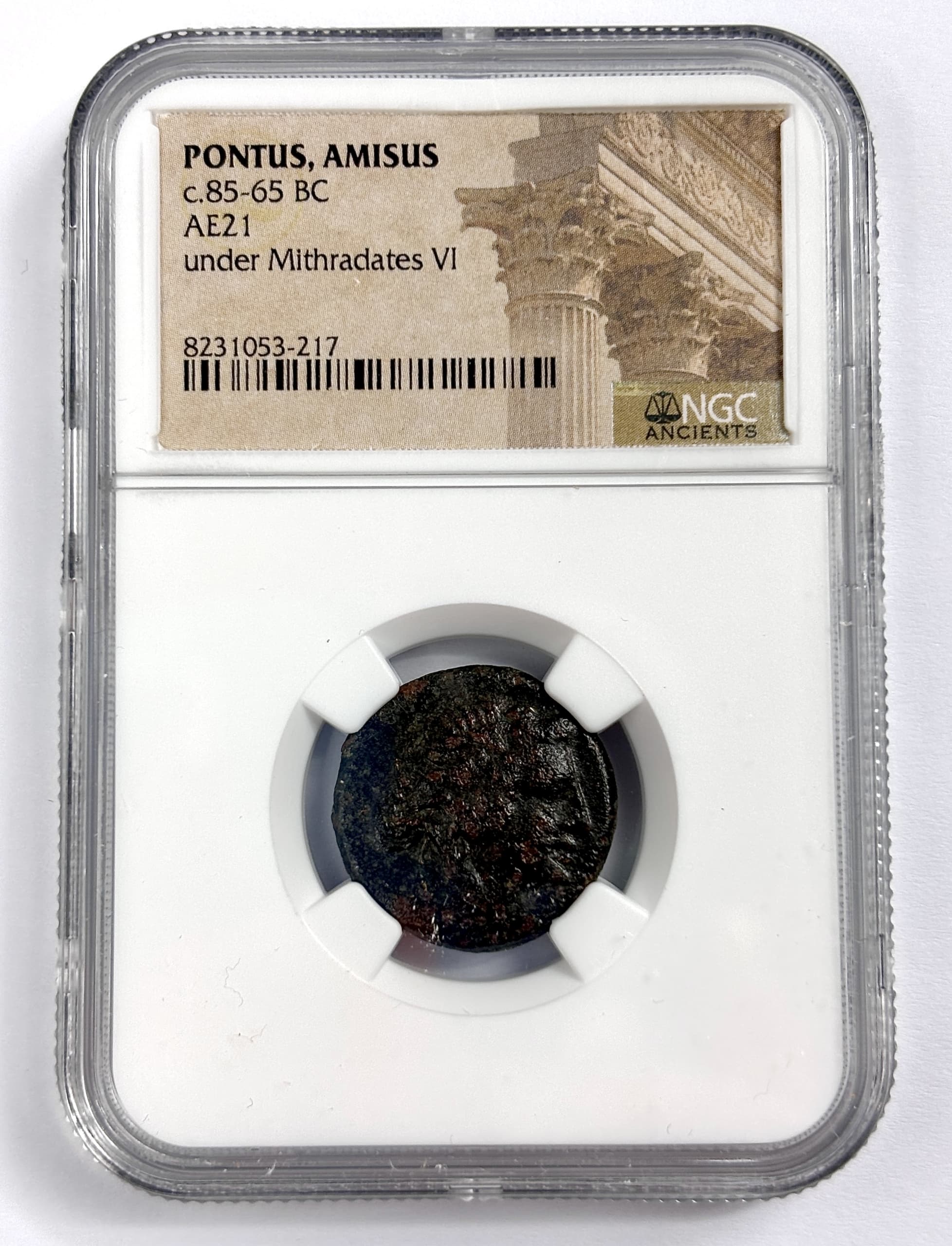 NGC-Certified Roman Coin: Mithradates Dionysus type, 58, Grade NG β representative ECC supplier stock image; exact coin and slab vary