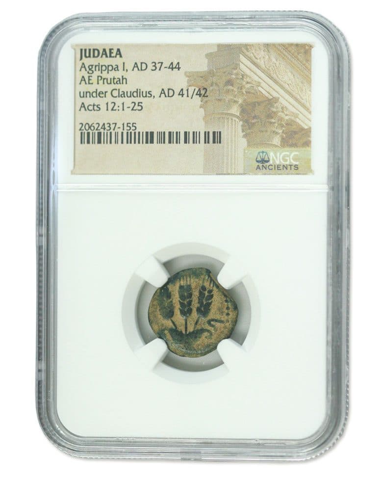 NGC-Certified Roman Coin: AGRIPPA1ST, Grade HG β representative ECC supplier stock image; exact coin and slab vary