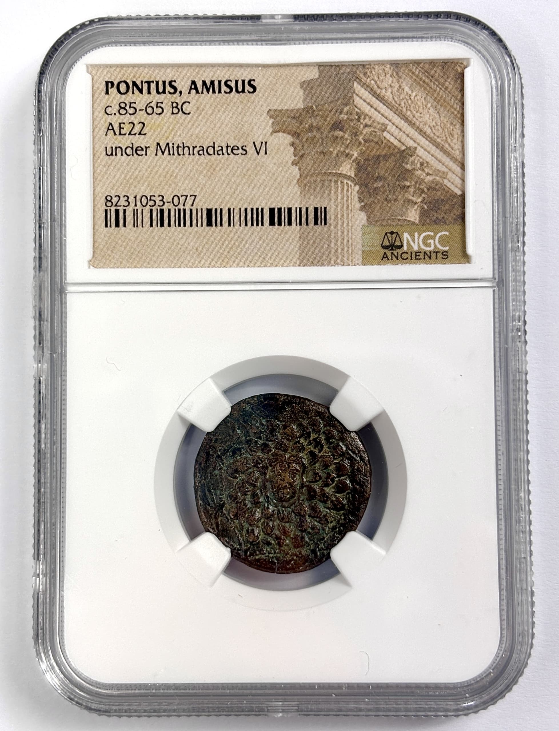NGC-Certified Roman Coin: Mithradates Gorgon type, 58, Grade NG β representative ECC supplier stock image; exact coin and slab vary