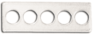Whitman 2x6 State Quarter Strip 5 Hole - (25 pack)