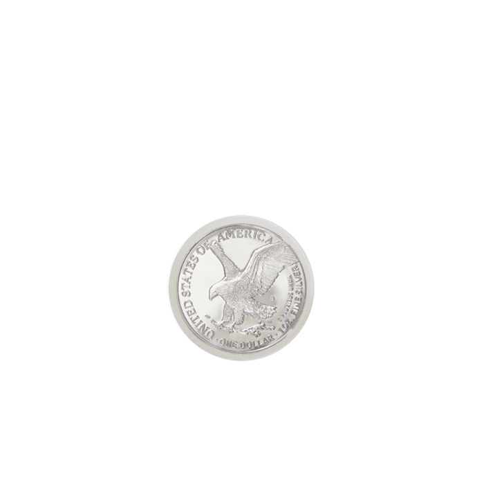 Guardhouse Defender Coin Slab for Silver Eagles - 3 Pack - alternate view 2