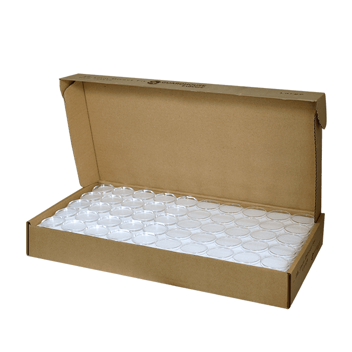 Large Dollar 38.1mm Bulk Direct-Fit EvoCore Coin Holders 250 count box.