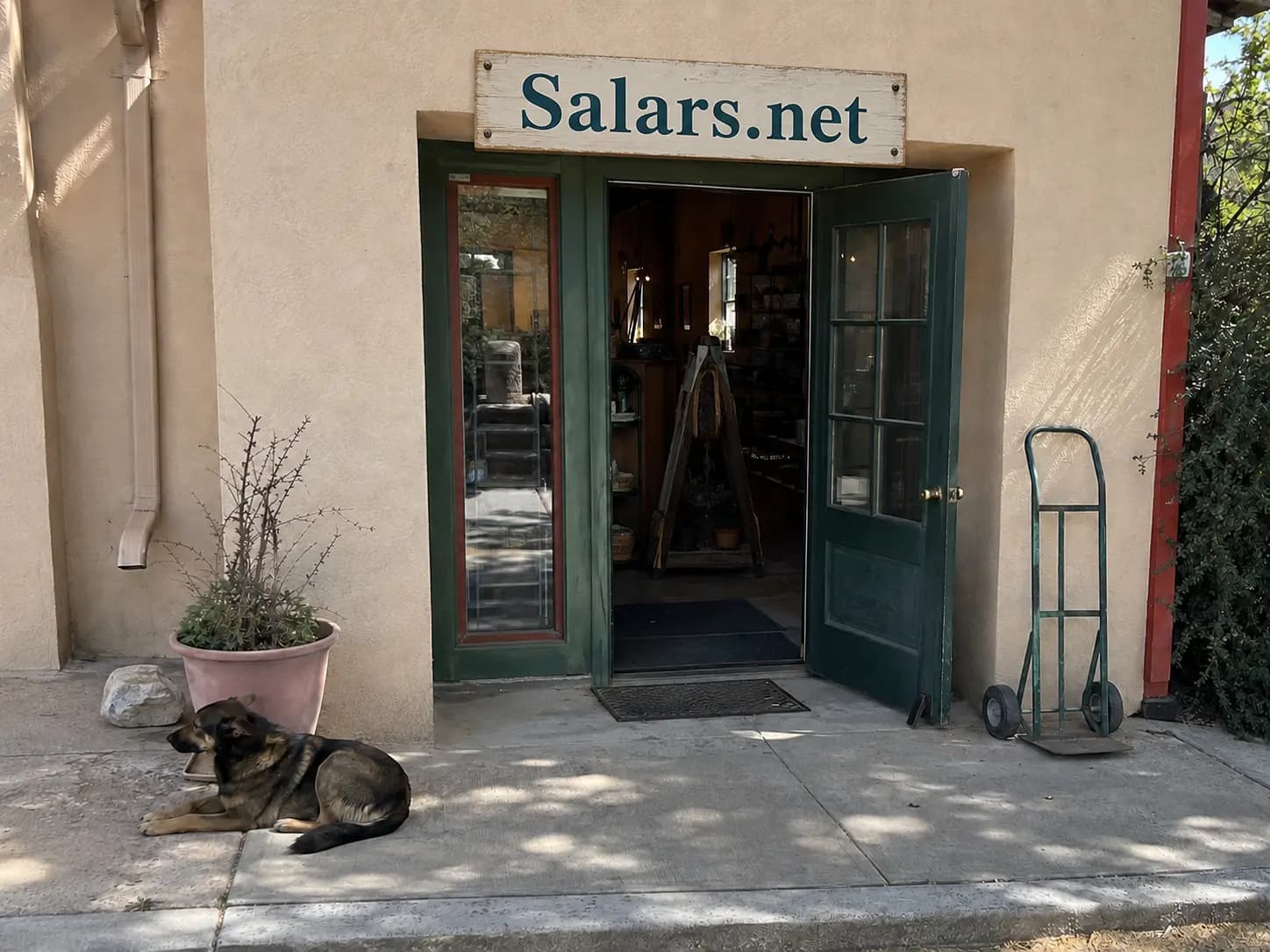 Representative exterior view of a modest Salars.net local-store entrance with a store sign and a dog resting nearby