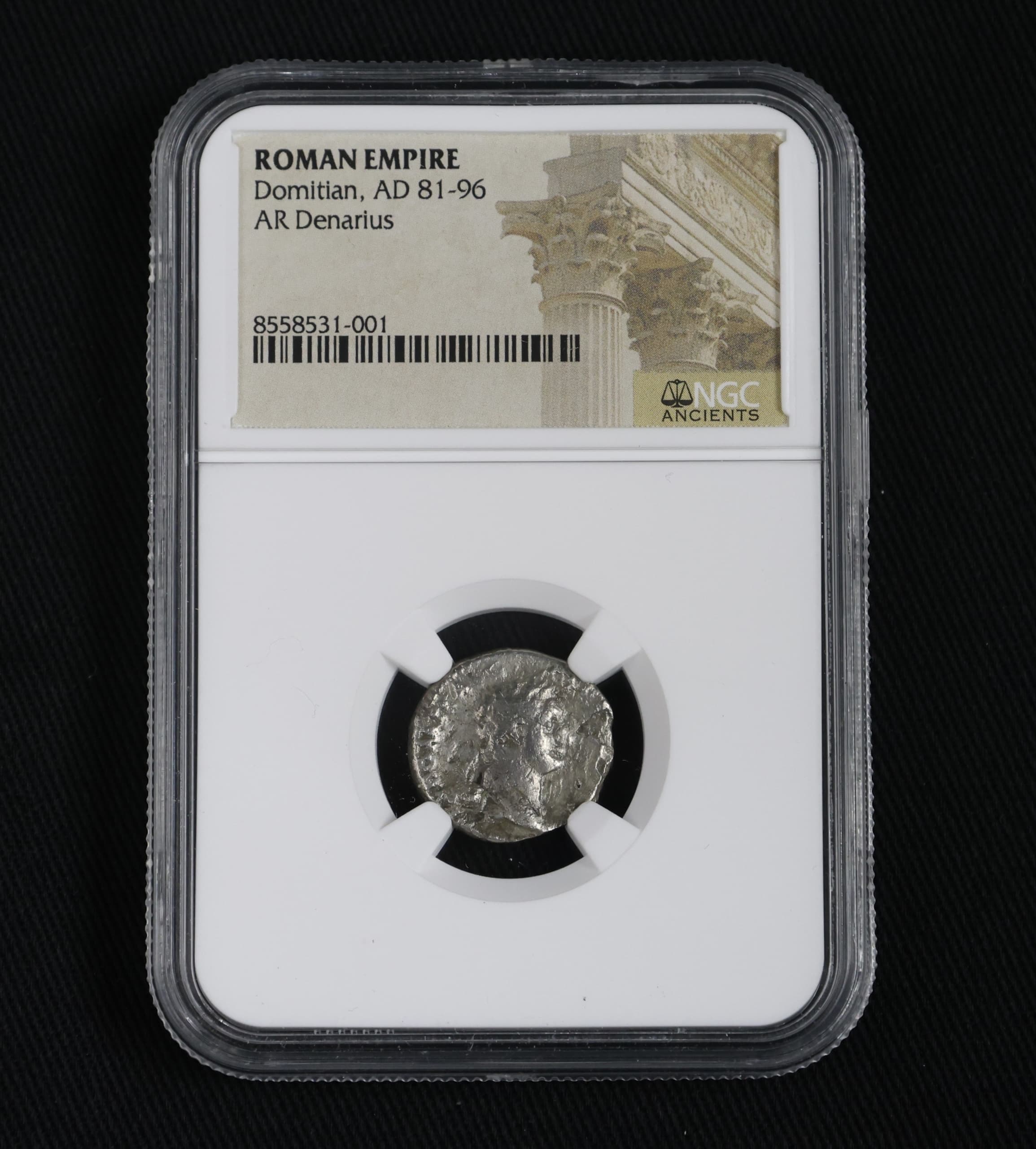 NGC-Certified Roman Coin: Domitian, Denarius, Grade LG β representative ECC supplier stock image; exact coin and slab vary