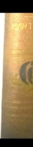Antique late 19th century book from Weeks Publishing Co., showing worn cover and aged pages, in good condition