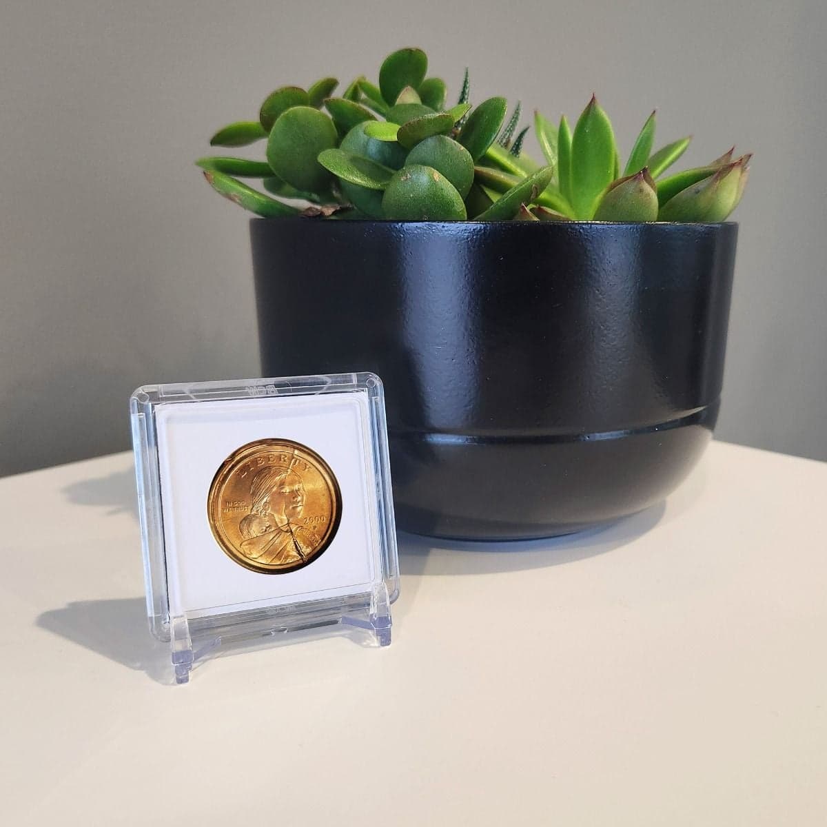 BCW 2x2 Coin Snap - Small Dollar