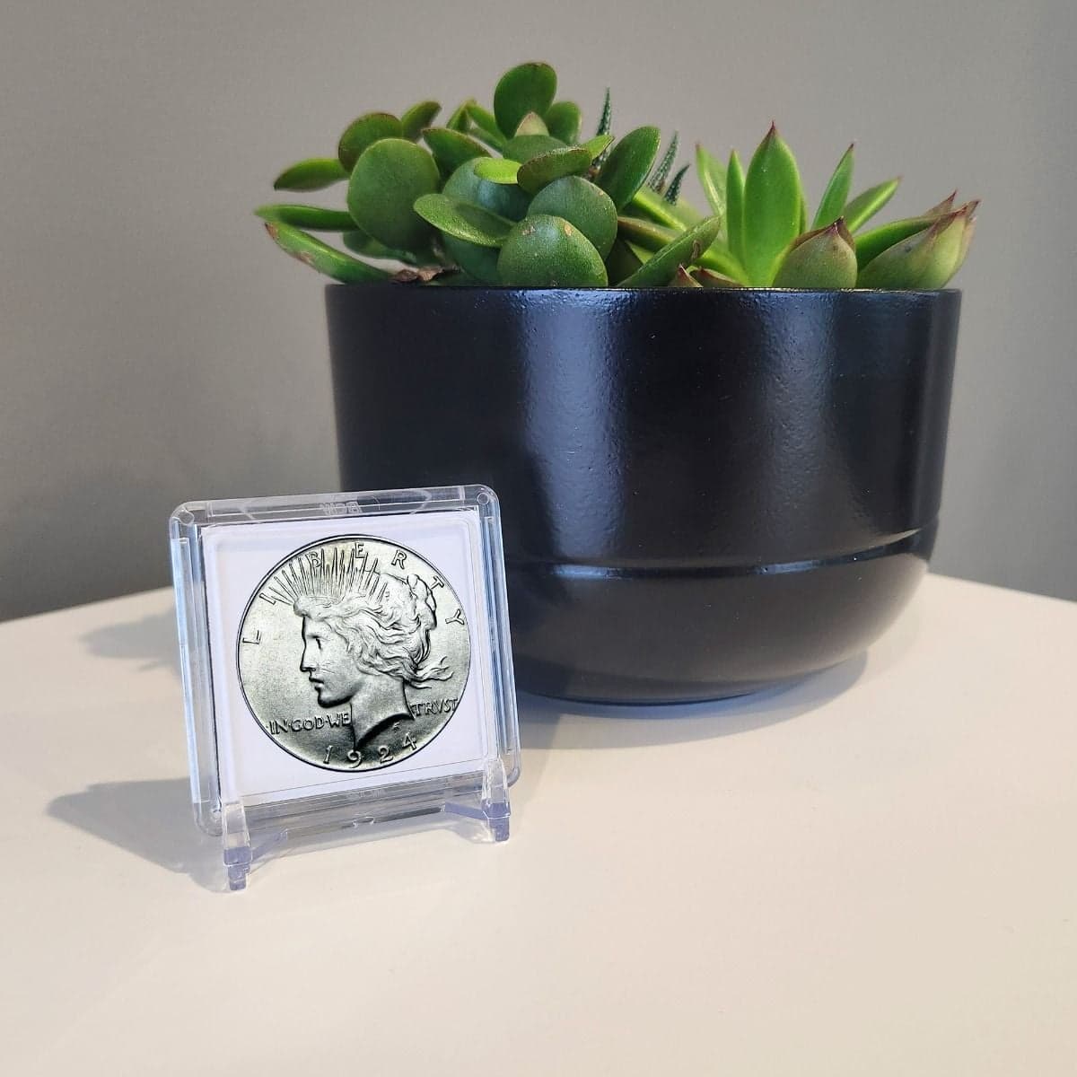 BCW 2x2 Coin Snap - Dollar