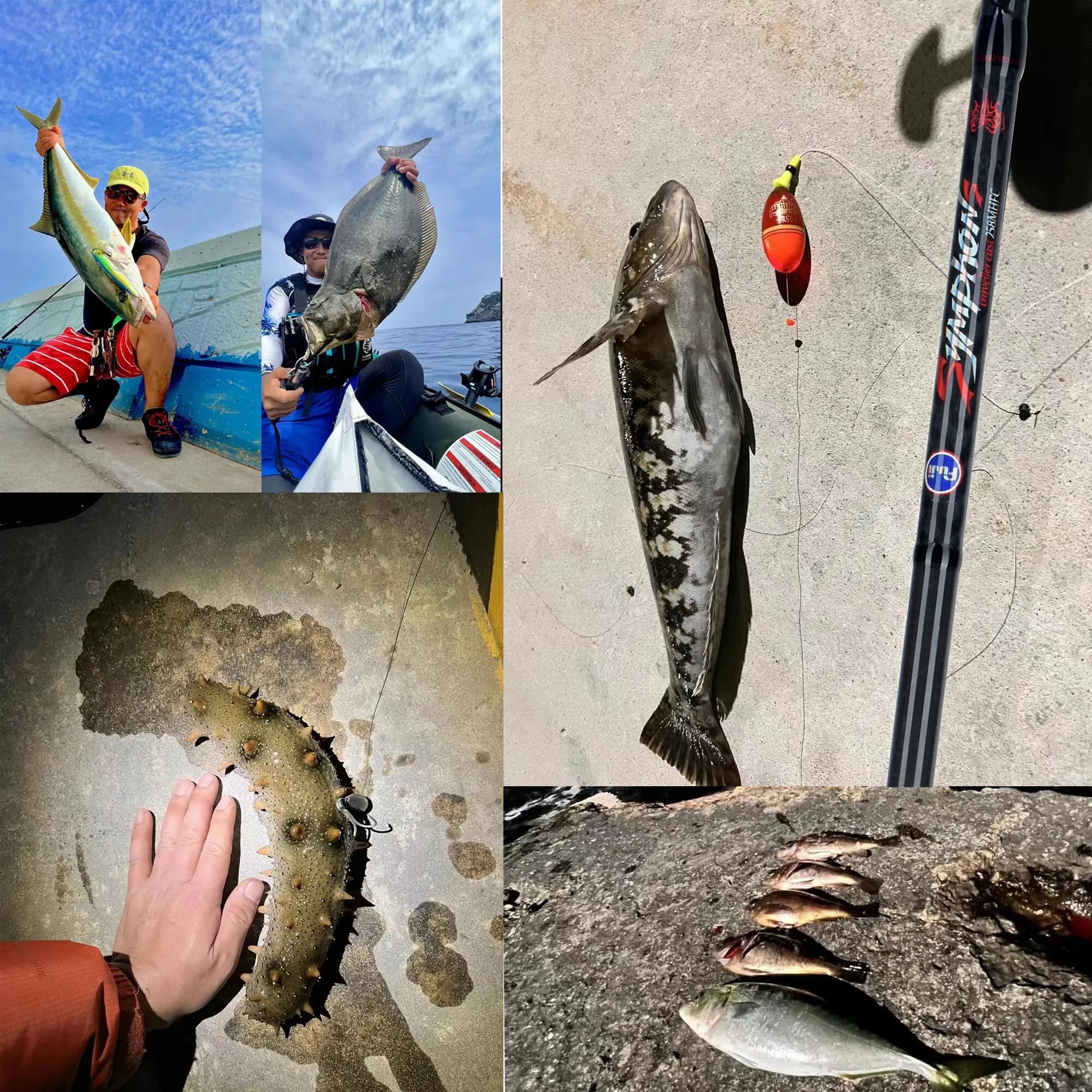 BIUTIFU Traveller Spinning Casting Fuji Lure Mini Rock Fishing Rod 1.8/2.1/2.4/2.7/3.0m Carbon Baitcasting PHISHGER Fast 5-42g - Image 5