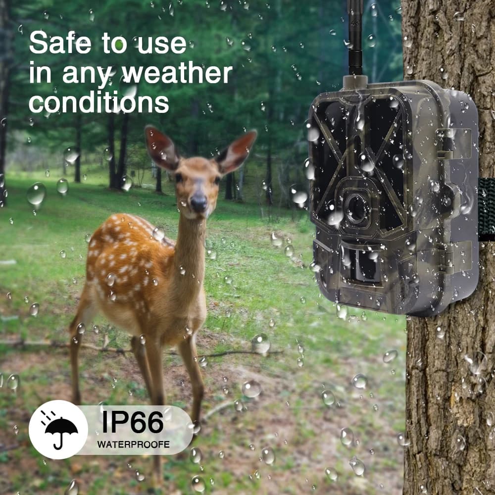 4K Live Stream Trail Camera 4G 30MP APP Clould Service Hunting Cameras 8000Mah Li-Battery Night Vision Photo Traps HC940PROLI - Image 5