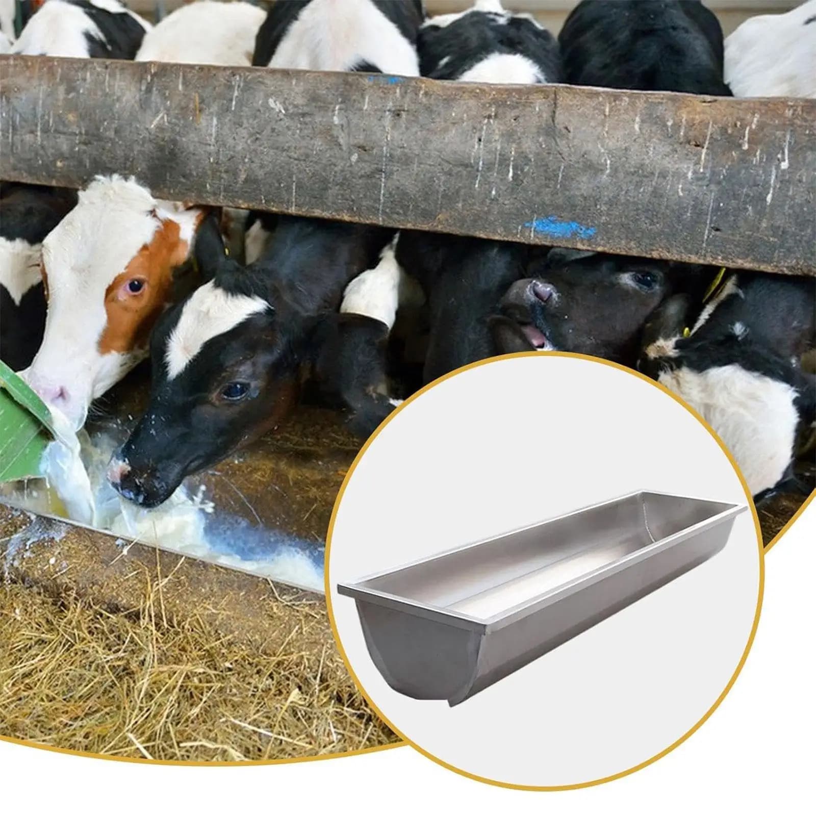 Durable Stainless Steel Feed Trough Livestock Feeder Waterer Heavy Duty for Sheep Goats Horses Cattle Deer - Image 3