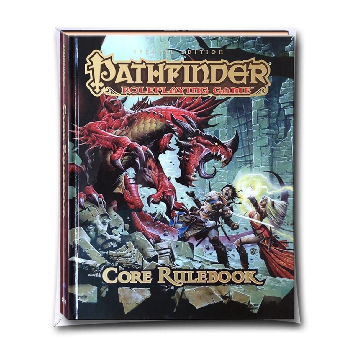 BCW Book Storage Bags, front view of bagged roleplaying book