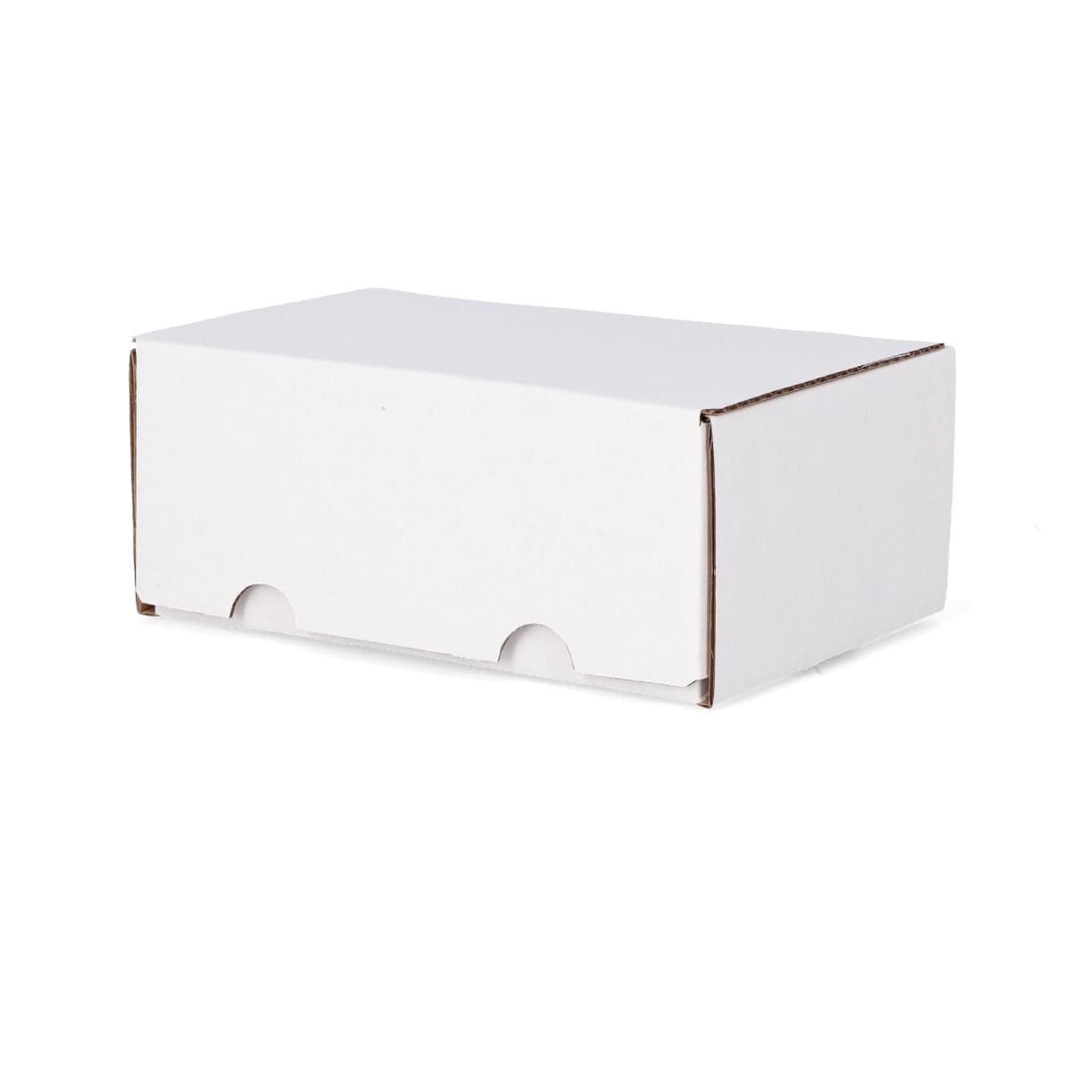 BCW graded trading card box. lid closed