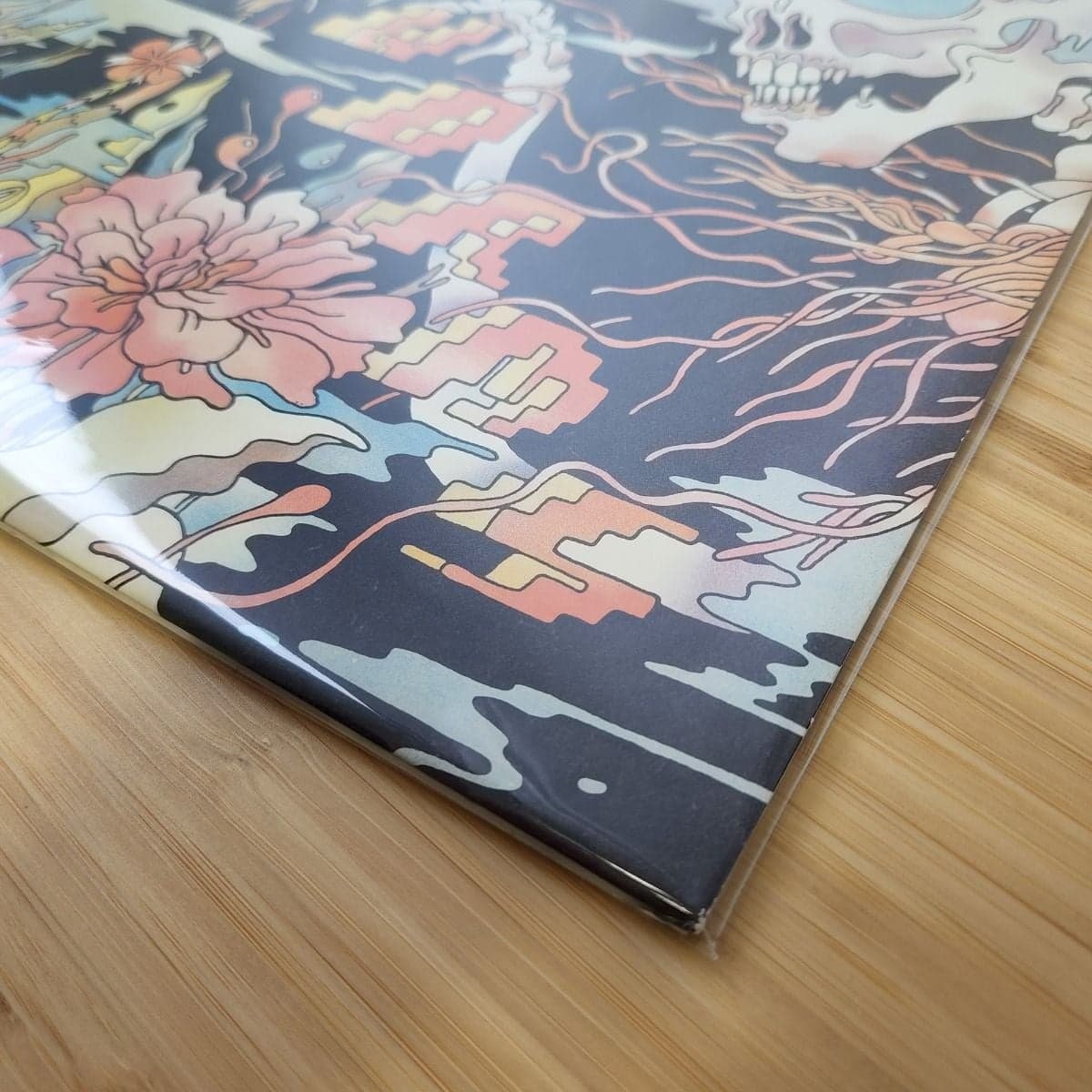 Corner of record in bag