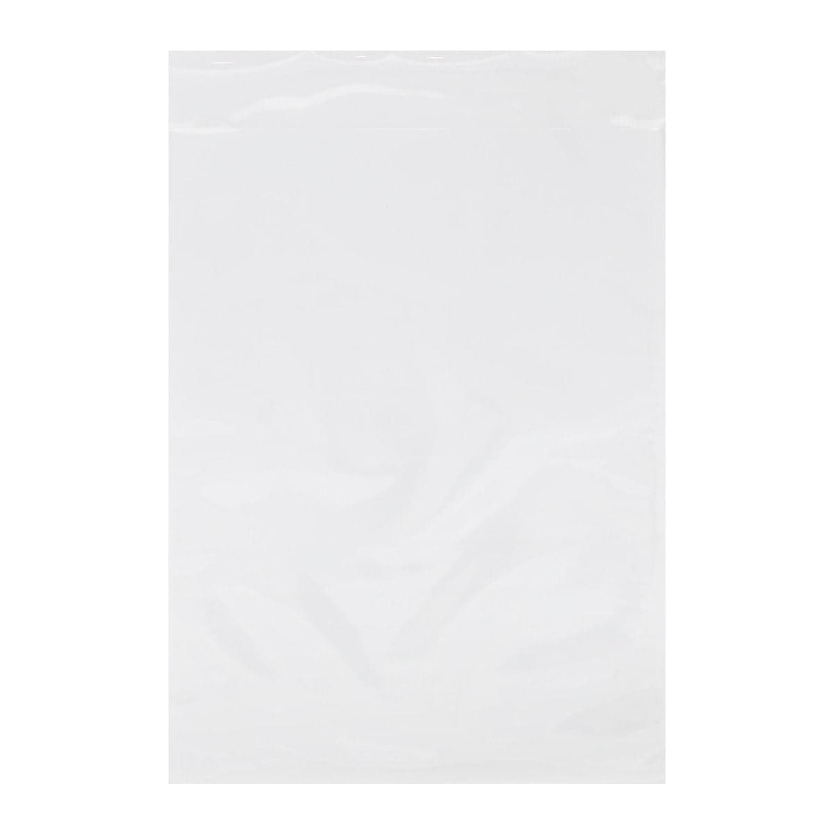 BCW Sheet Music Bags Empty bag