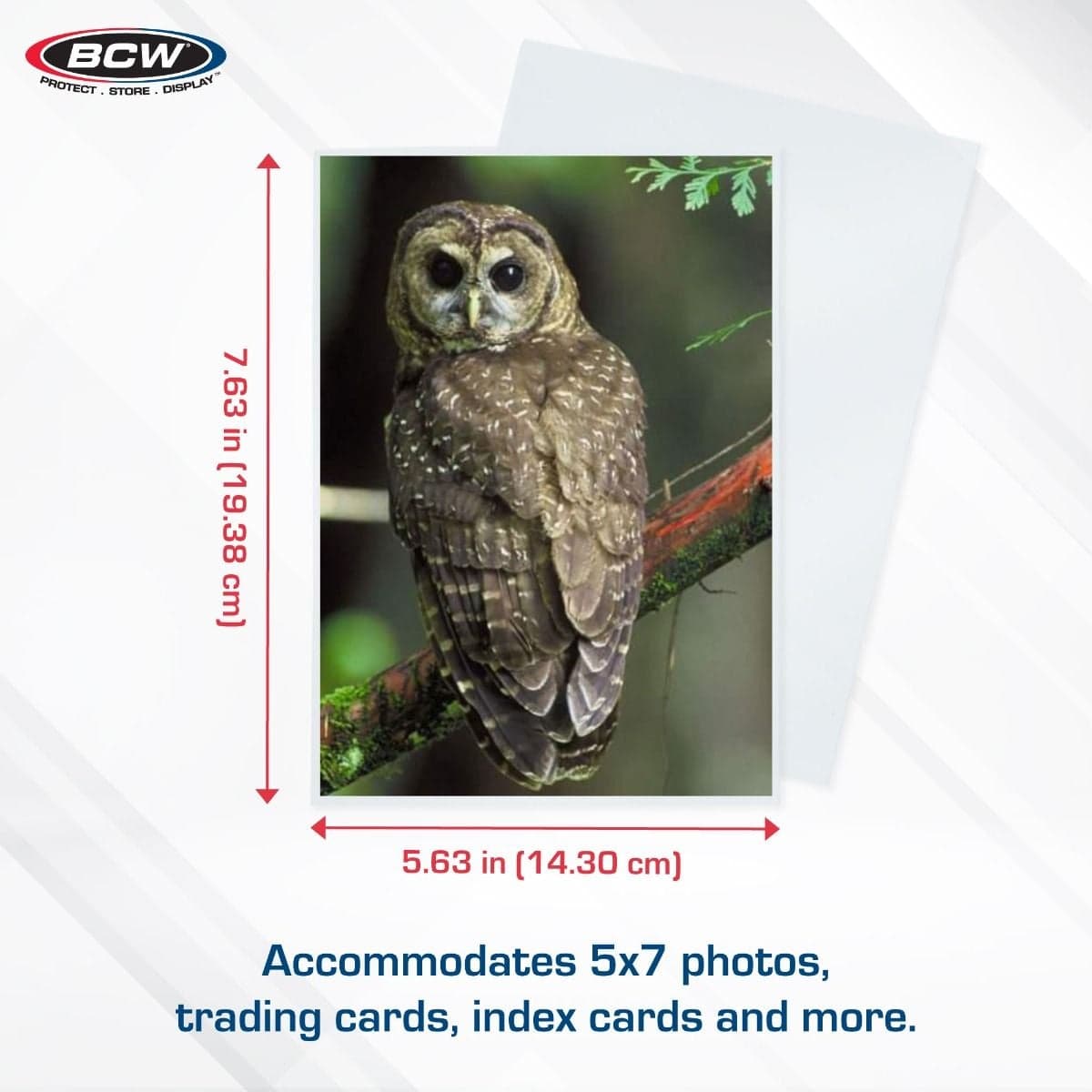 BCW 5x7 Photo Sleeves infographic, specs and measurements