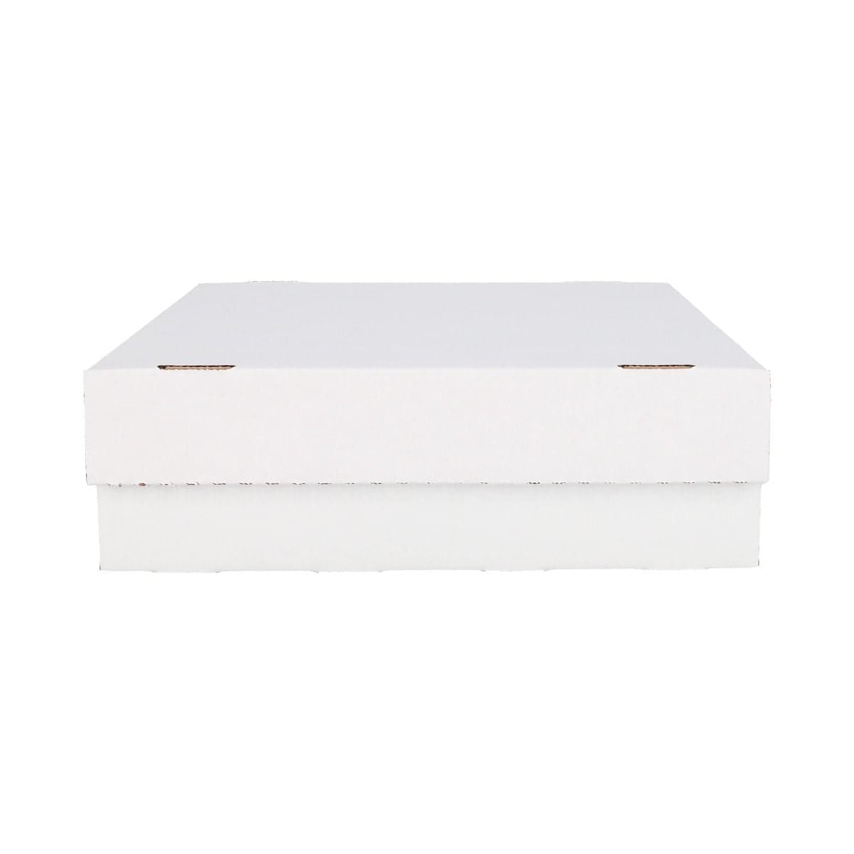 BCW Monster Storage Box, front with lid on and closed
