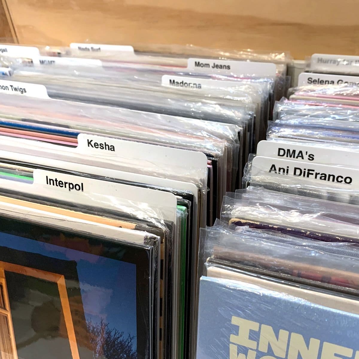 Close-up image of BCW 12-Inch Record Dividers - White