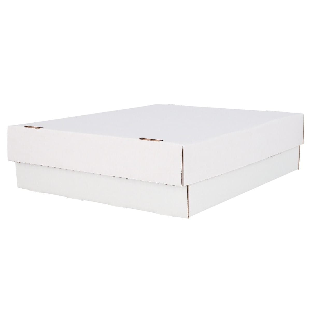 BCW Monster Storage Box, angled and closed with lid on