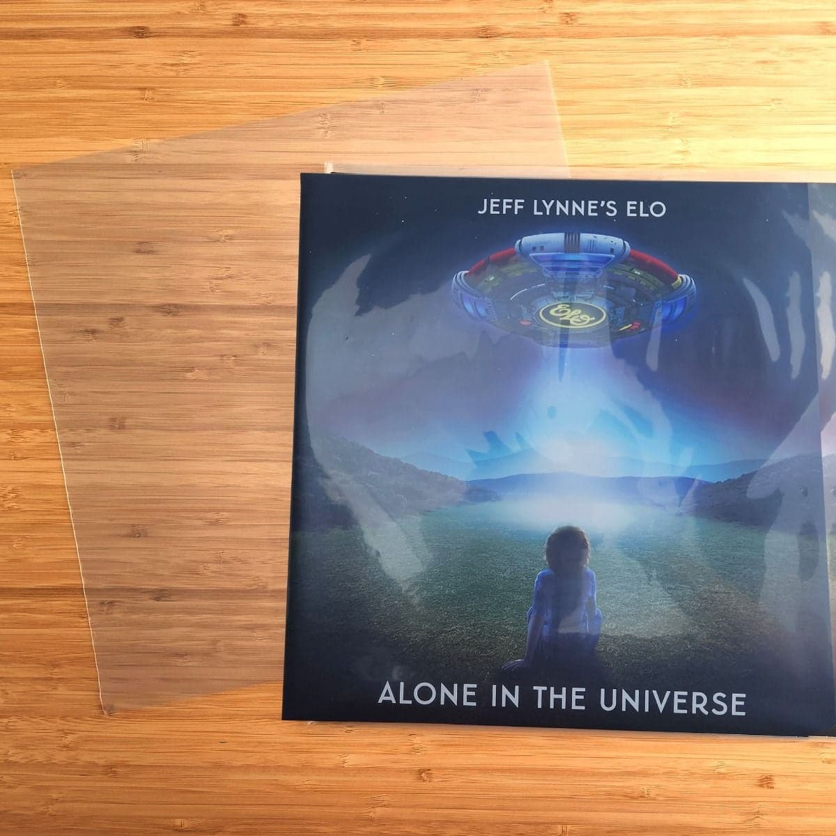 Record inside 12 Inch Record Sleeve - Polyethylene