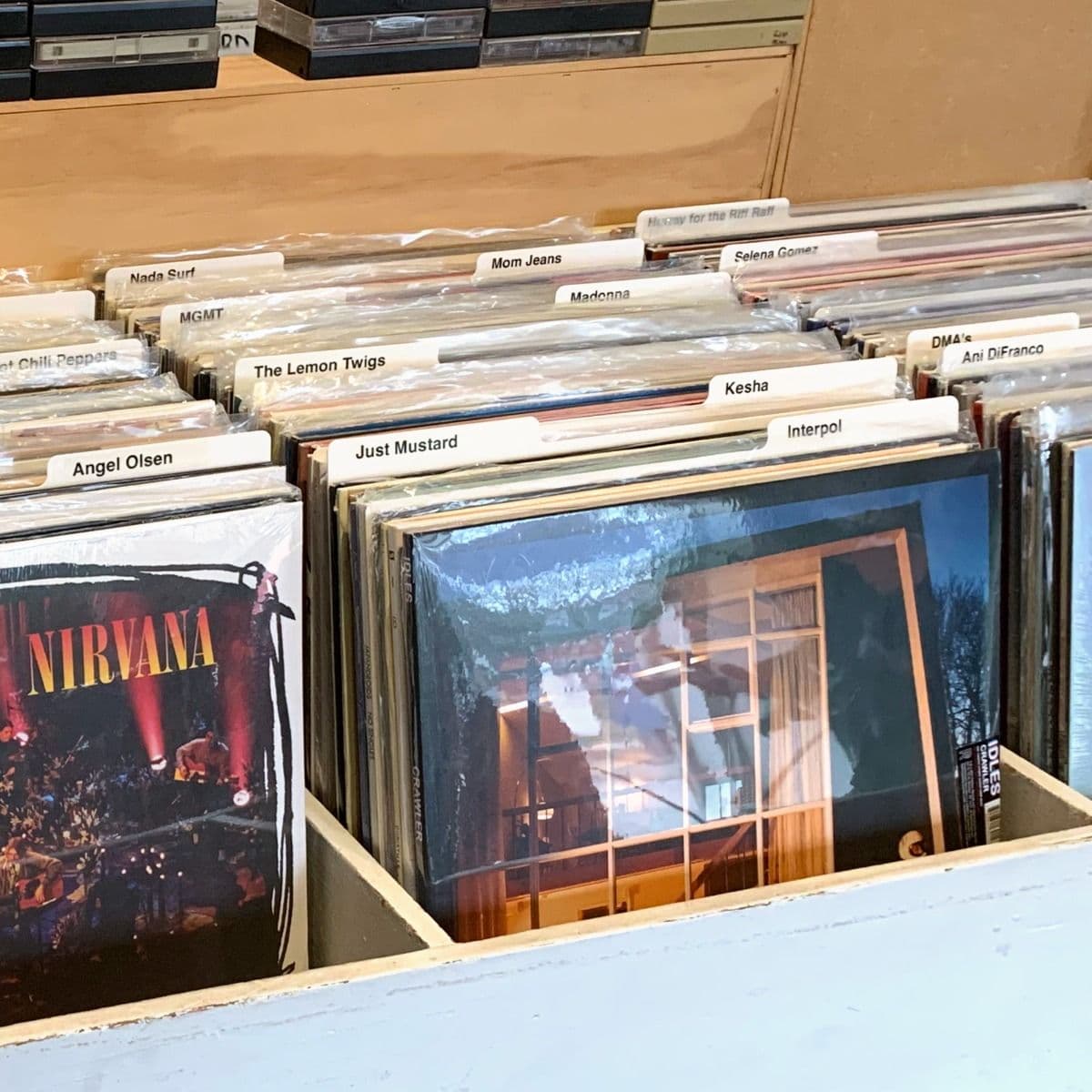 Close-up image of BCW 12-Inch Record Dividers - White