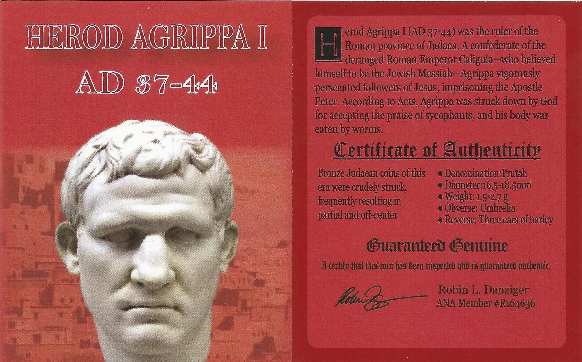 NGC-Certified Roman Coin: AGRIPPA1ST, Grade HG - Image 4