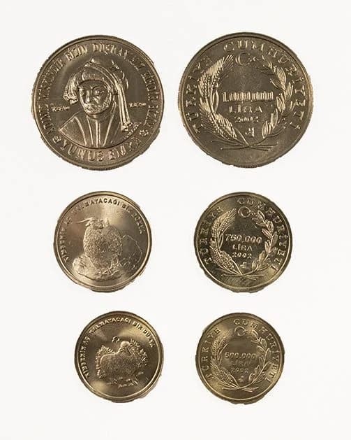 Turkey Inflation 3 Coins (Album) - Image 5