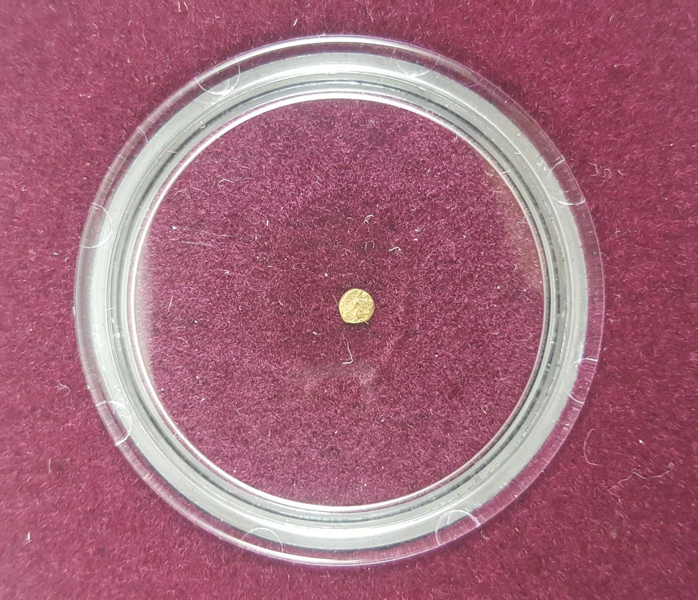 World's Smallest Gold Coin: Bele of Vijayanagara (Clear Box) - Image 3