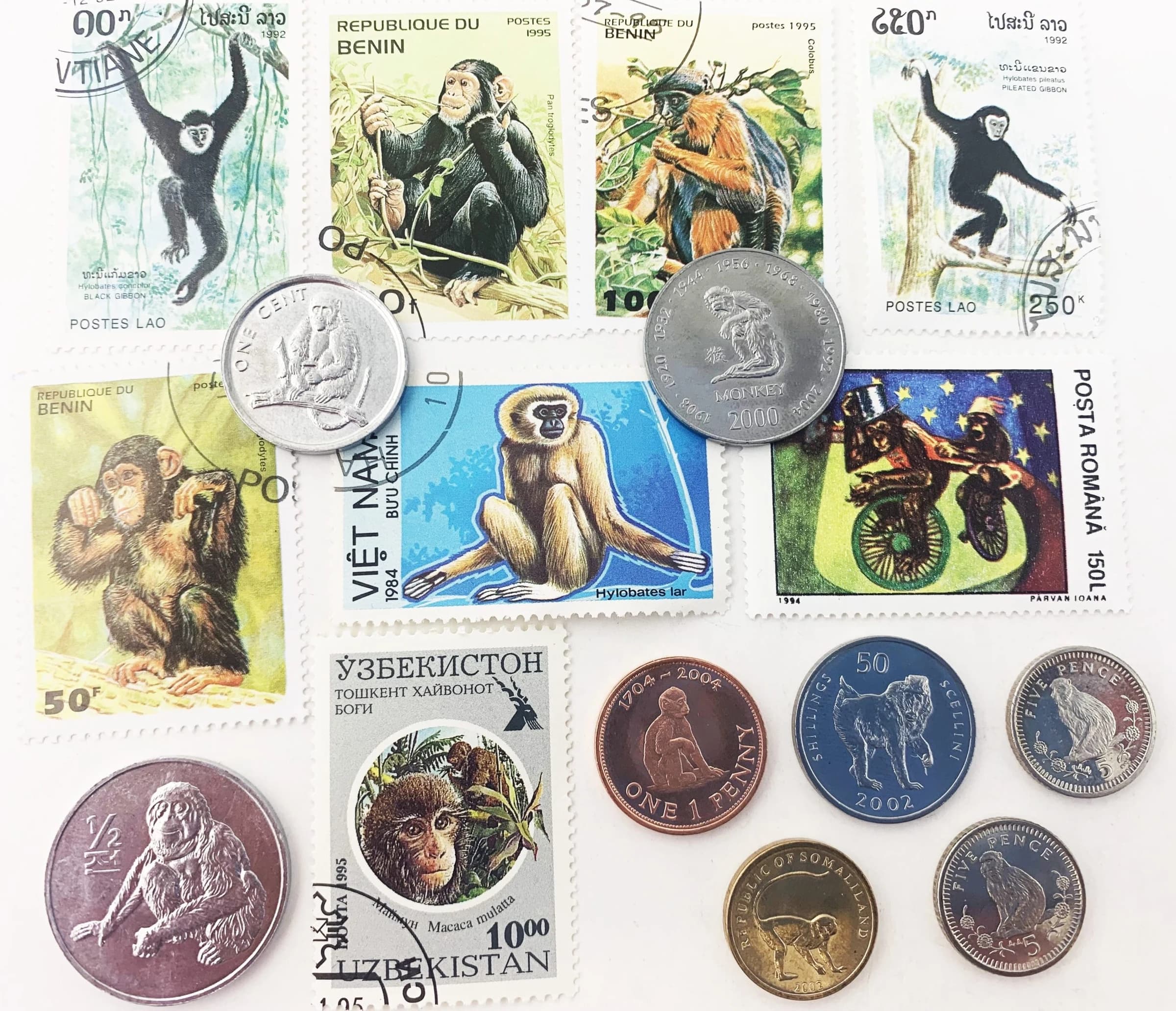 Monkey Money: 8 Coins & 8 Postage Stamps (Clear Box) - Image 3