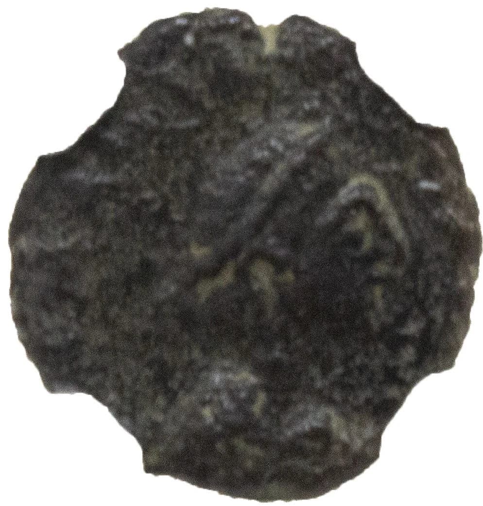 NGC-Certified Roman Coin: MARCIAN(AE4), Grade LG - Image 3
