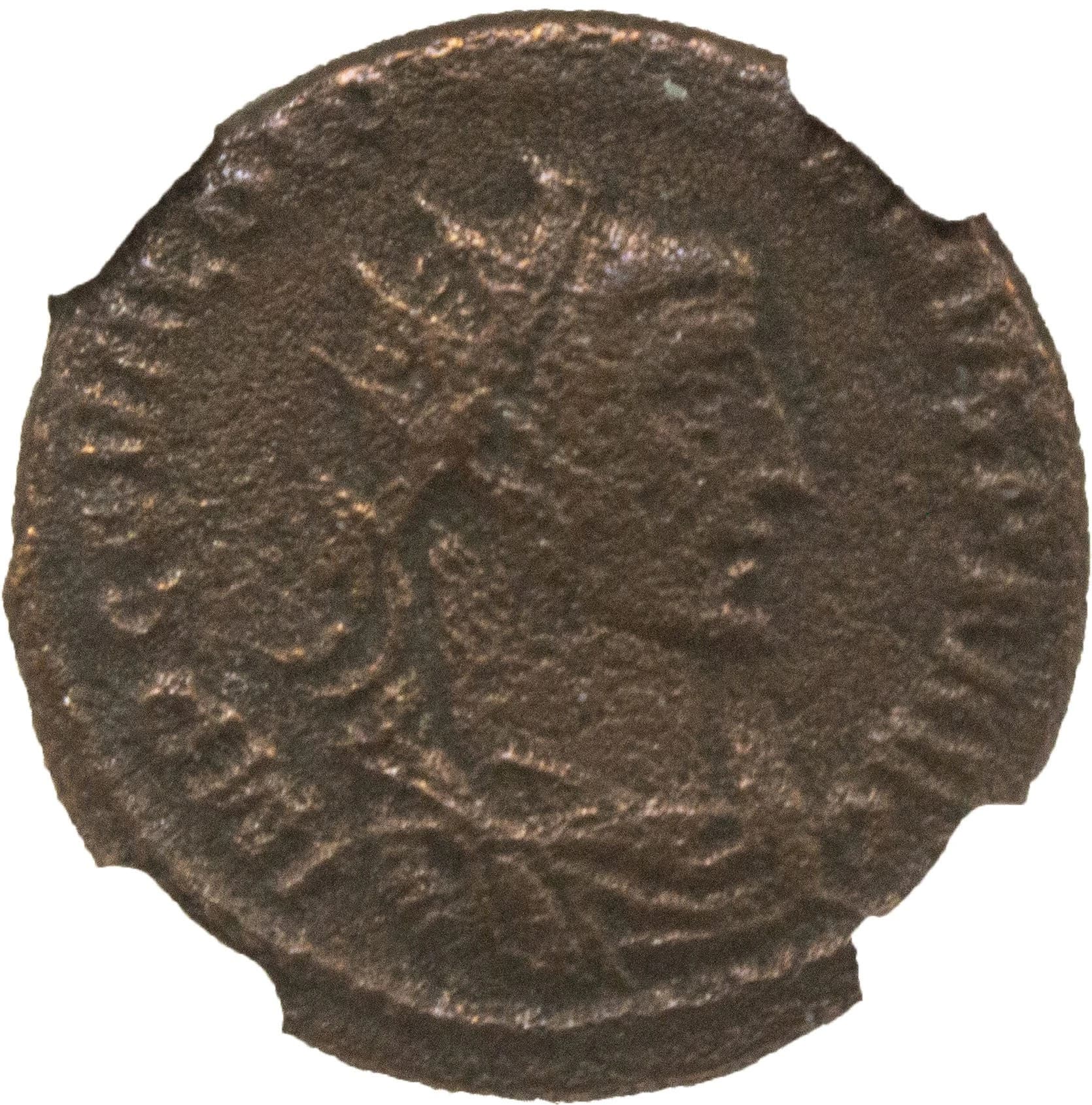 NGC-Certified Roman Coin: Diocletian, ANT, Grade F - Image 3