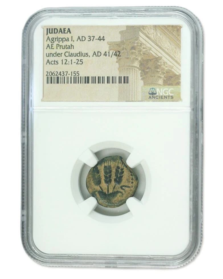NGC-Certified Roman Coin: AGRIPPA1ST, Grade HG - Image 2