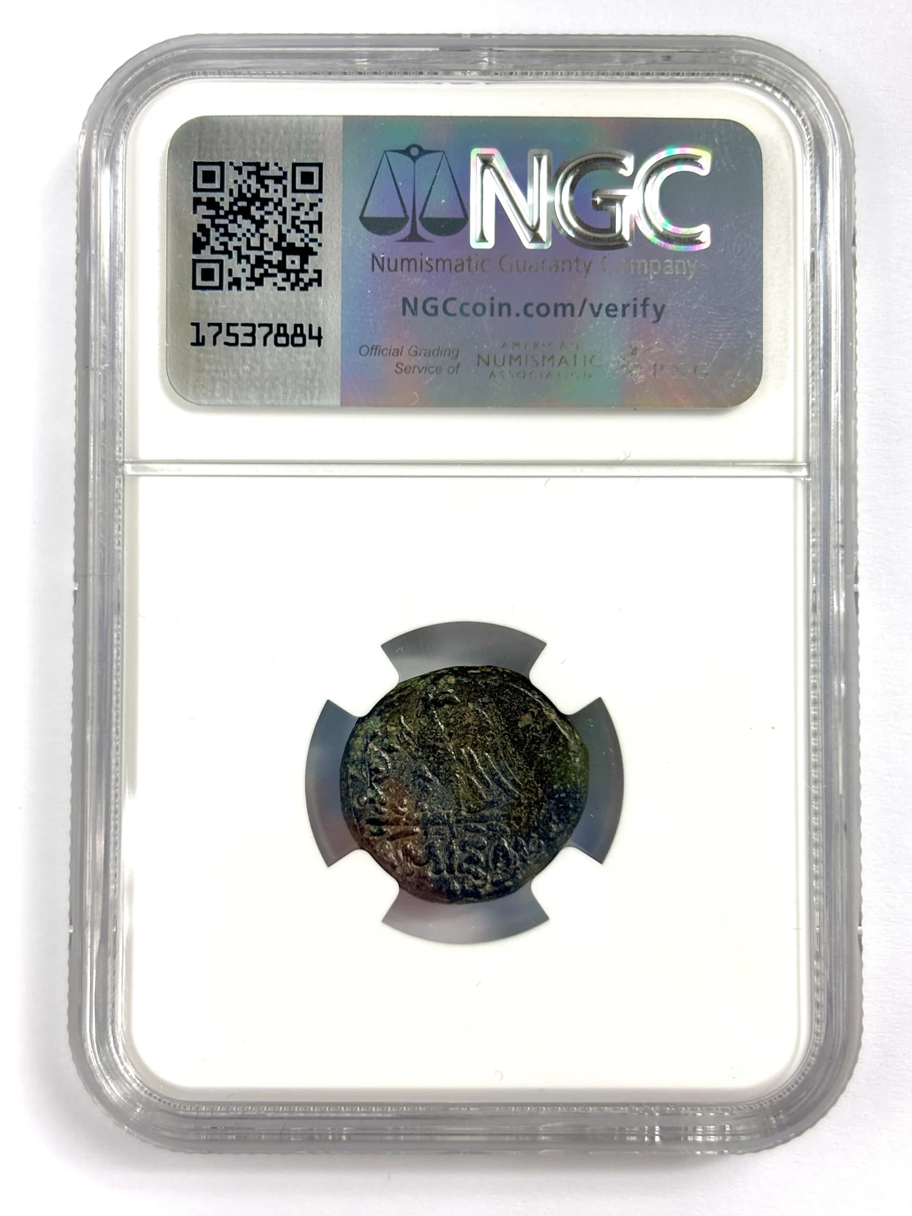 NGC-Certified Roman Coin: Mithradates Zeus type, 58, Grade NG - Image 2