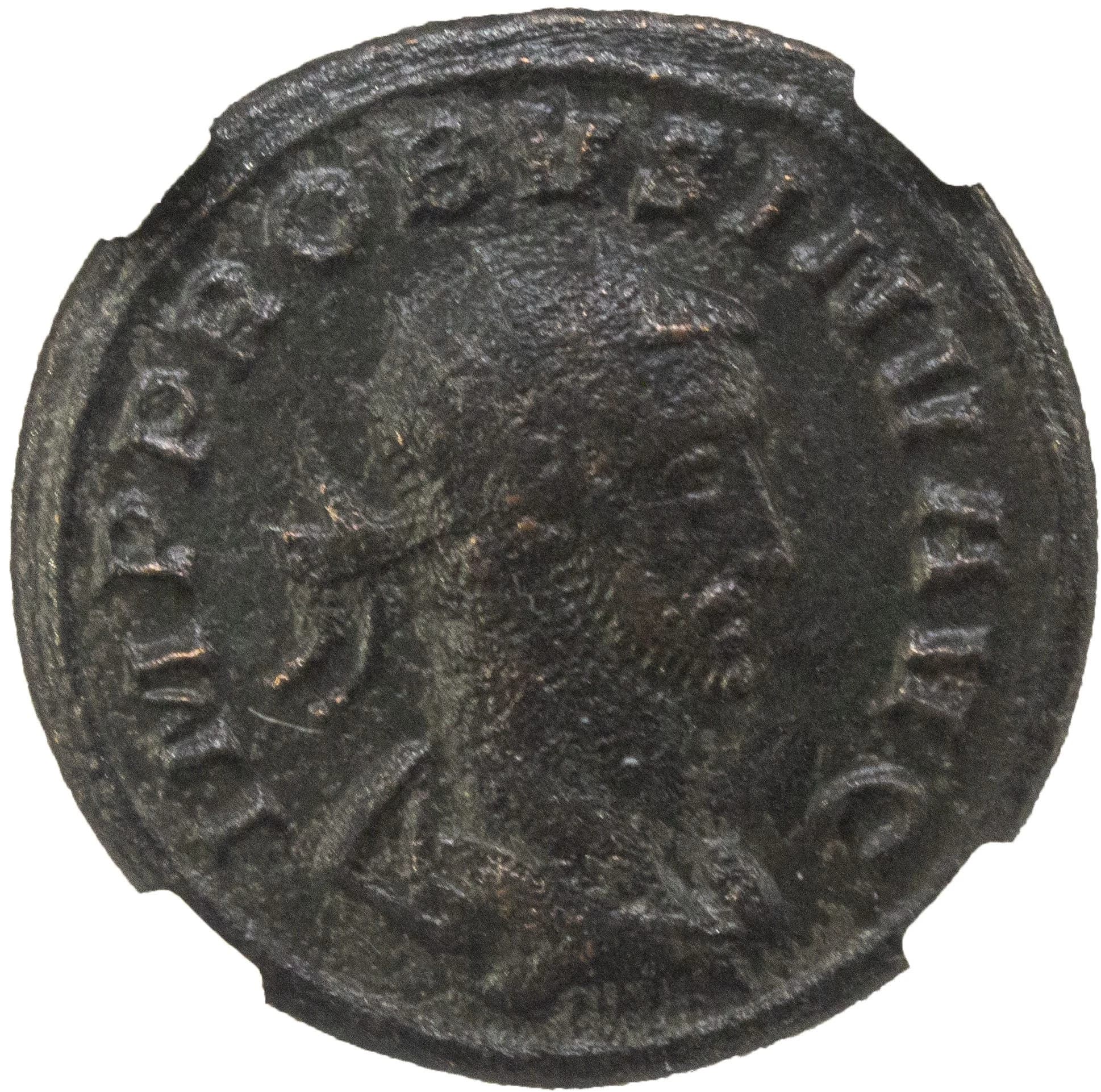 NGC-Certified Roman Coin: Probus, ANT, Grade F - Image 3