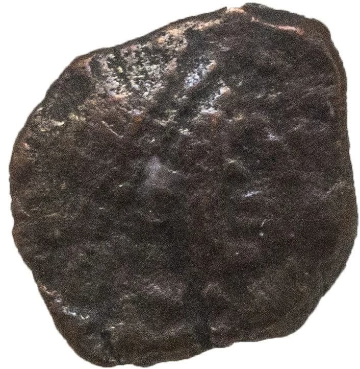 NGC-Certified Roman Coin: ANASTASIUS(AE4), Grade VG - Image 3