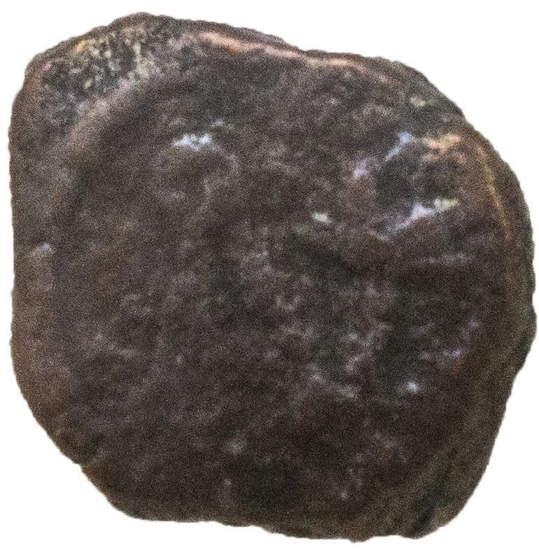 NGC-Certified Roman Coin: ANASTASIUS(AE4), Grade VG - Image 4