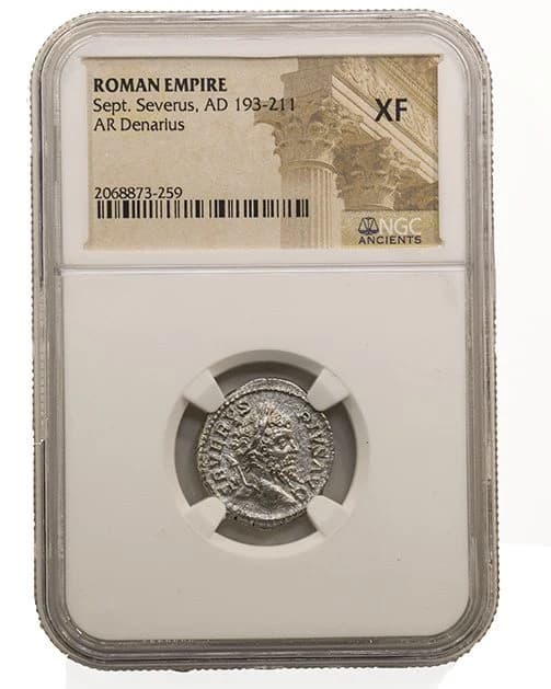 NGC-Certified Roman Coin: SEPTIMIUSSEV(AR), Grade XF - Image 2