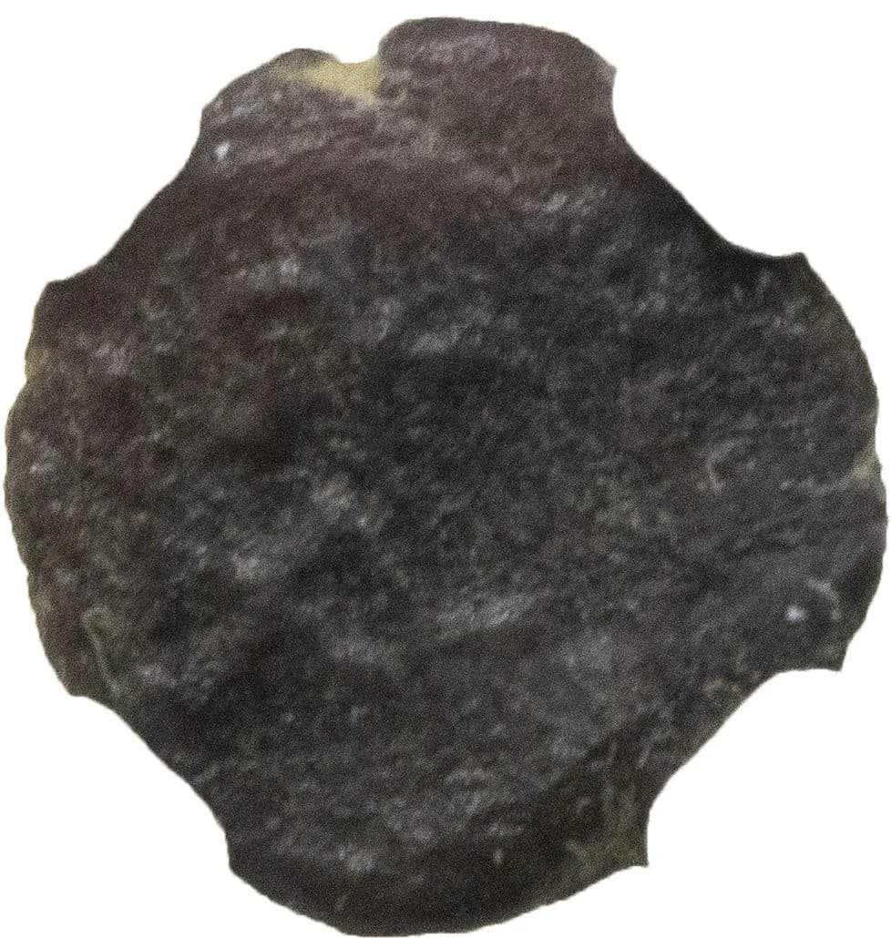 NGC-Certified Roman Coin: MARCIAN(AE4), Grade LG - Image 4