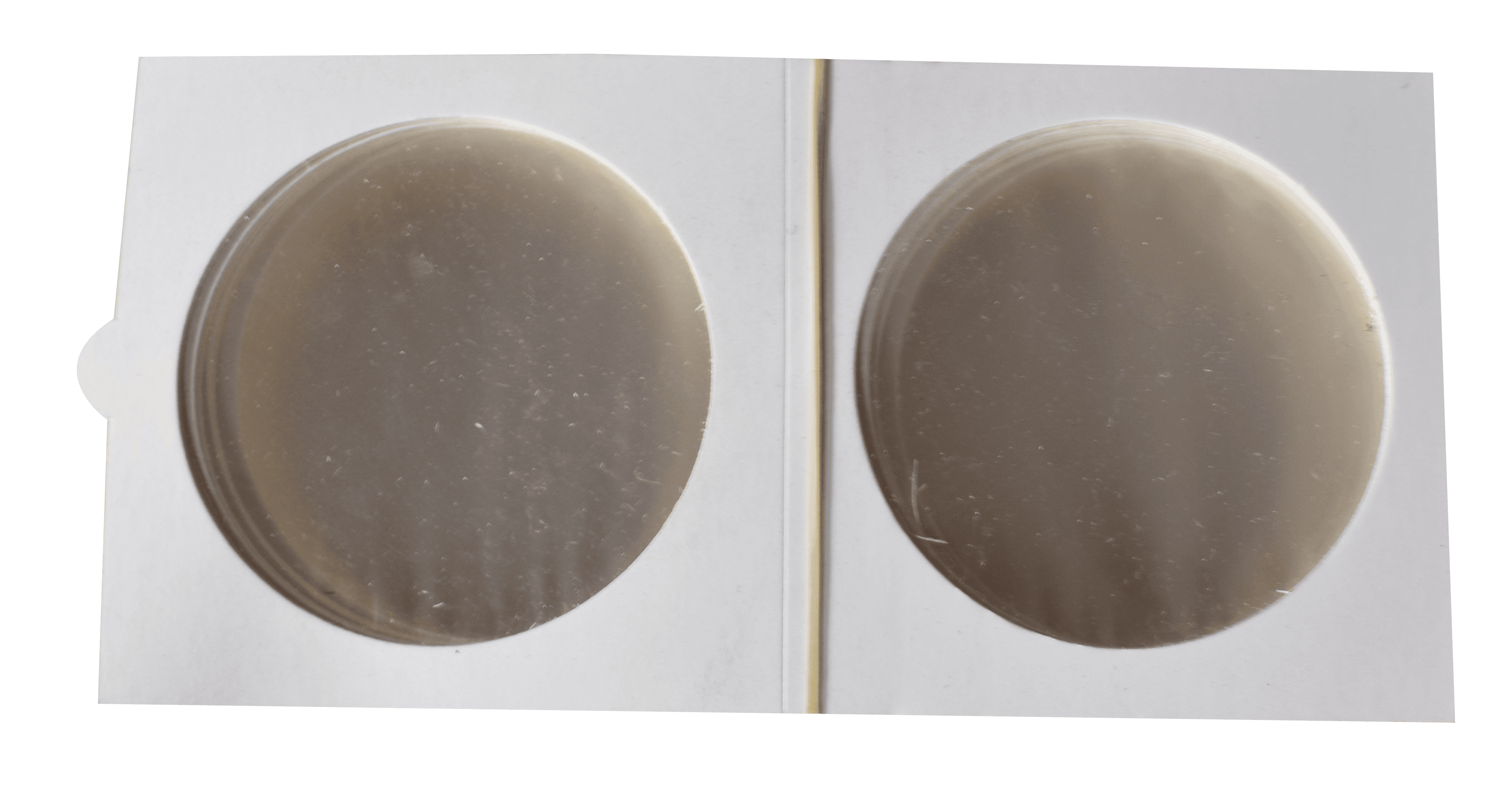Paper 2.5x2.5 - Bulk Crown Size (500/box) - alternate view 1