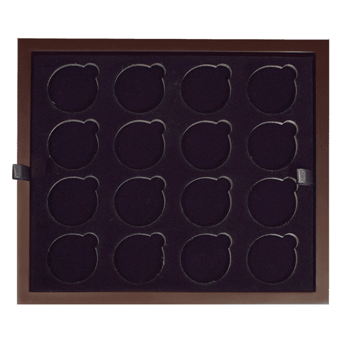Large Capsule Tray - Holds 16 Round Large Sized Coin Capsules - alternate view 1