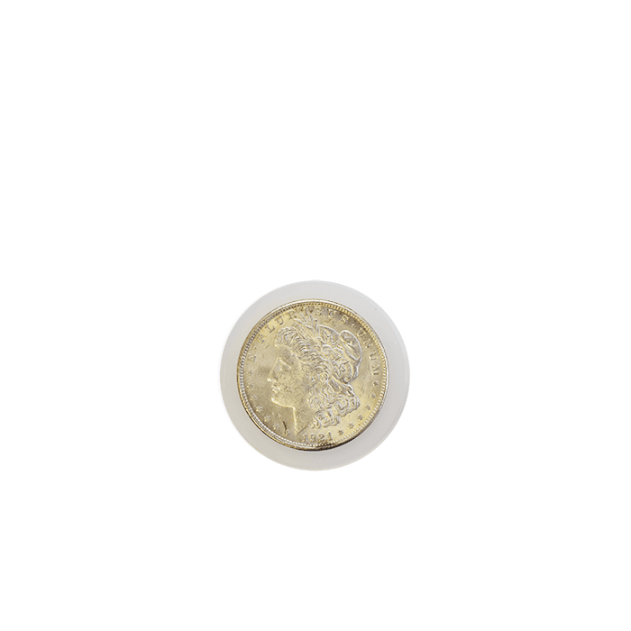 Guardhouse Defender Coin Slab for Large Dollars - 3 Pack - alternate view 2