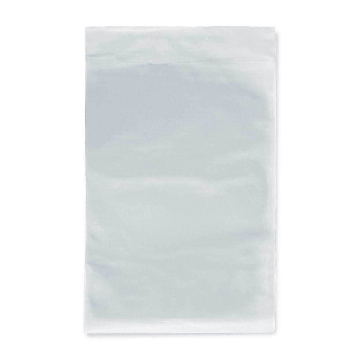 Single BCW Silver Age Comic Book Archival Mylar Bag - 4 MIL